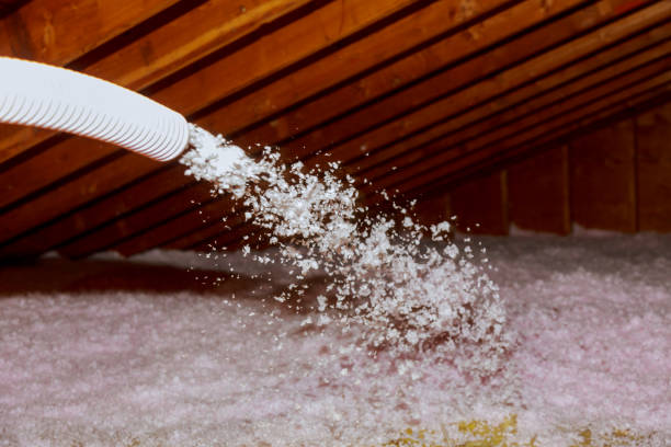 Best Types of Insulation in Ferris, TX