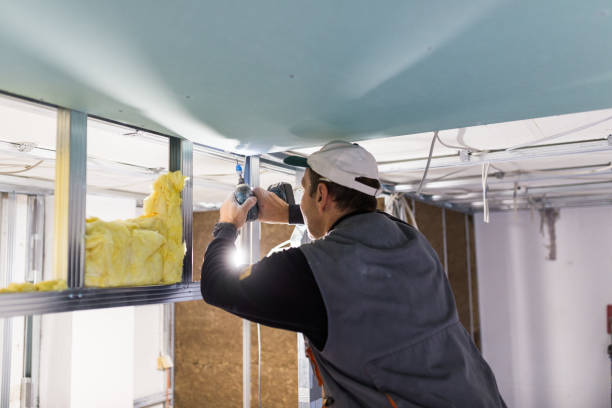 Best Insulation Maintenance and Repair in Ferris, TX