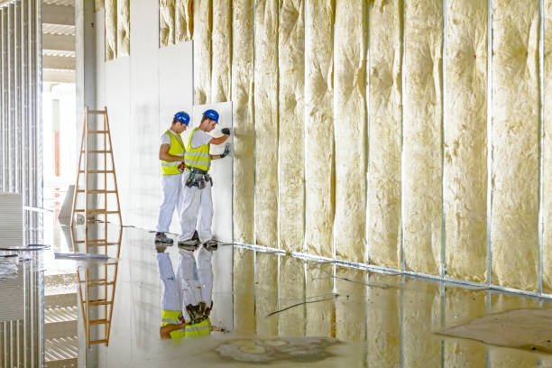 Best Energy Efficiency Solutions in Ferris, TX